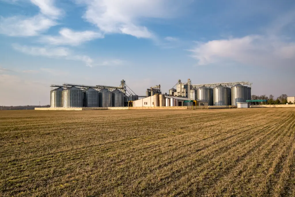 planta en las tierras